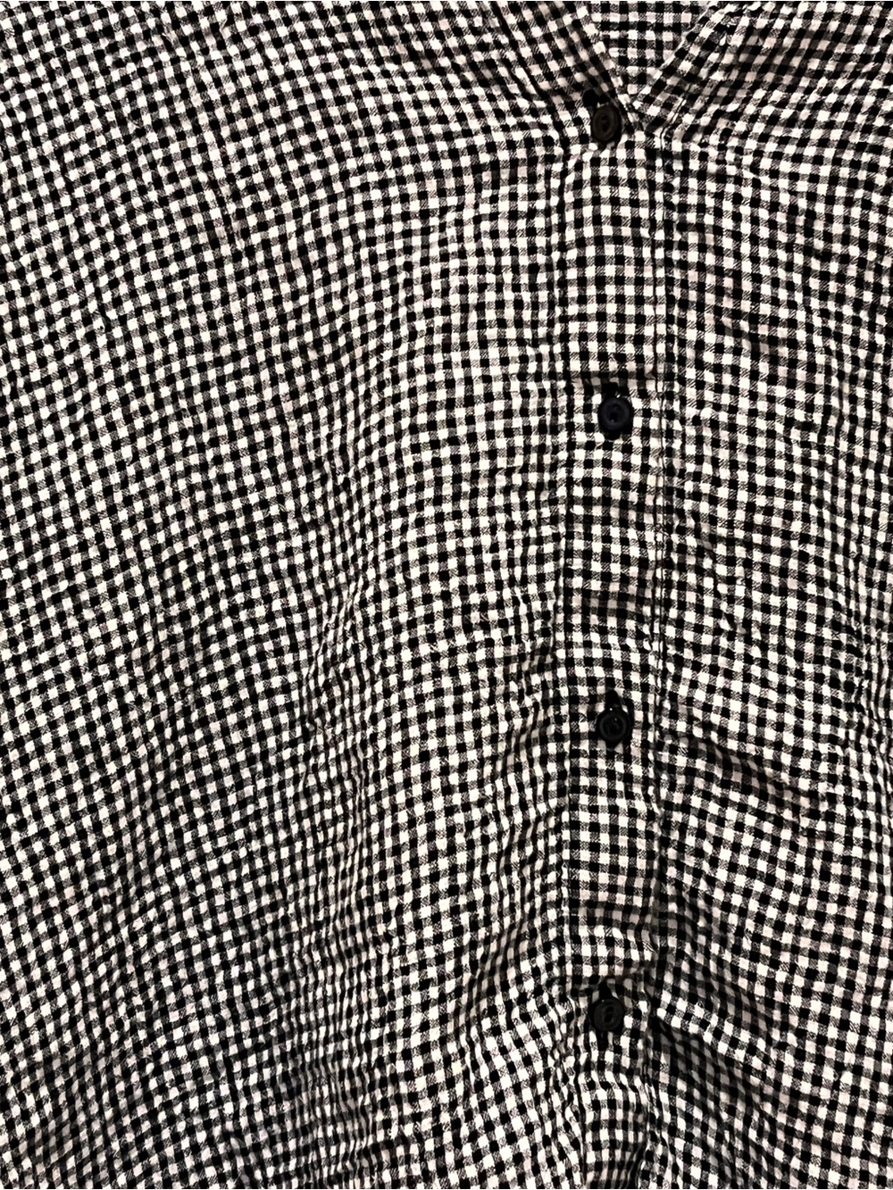Eileen Fisher Puckered Organic Linen Gingham Black White Classic Collar Shirt L - Picture 4 of 11